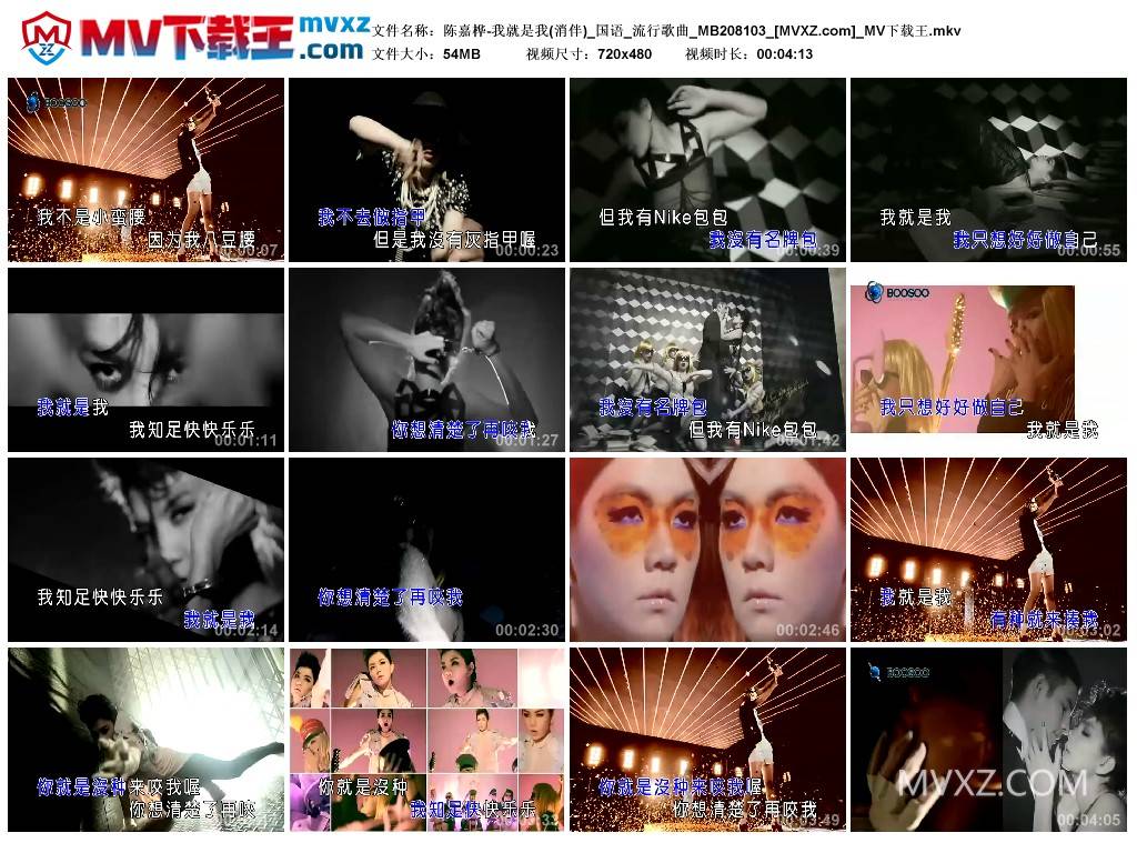 陈嘉桦-我就是我(消伴)_国语_流行歌曲_MB208103